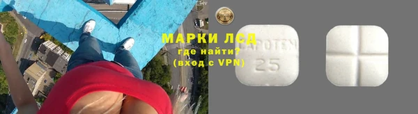 молекула духа Новодвинск