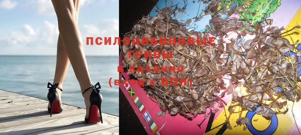мяу мяу мука Новозыбков