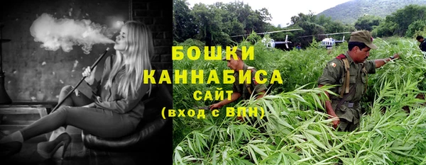 молекула духа Новодвинск