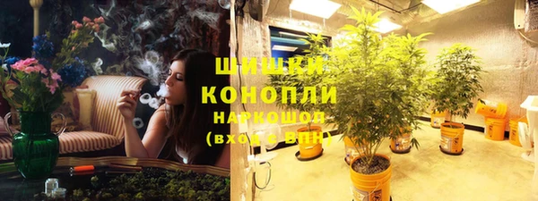мяу мяу мука Новозыбков