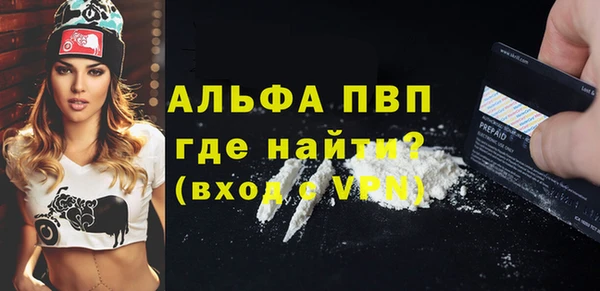 молекула духа Новодвинск
